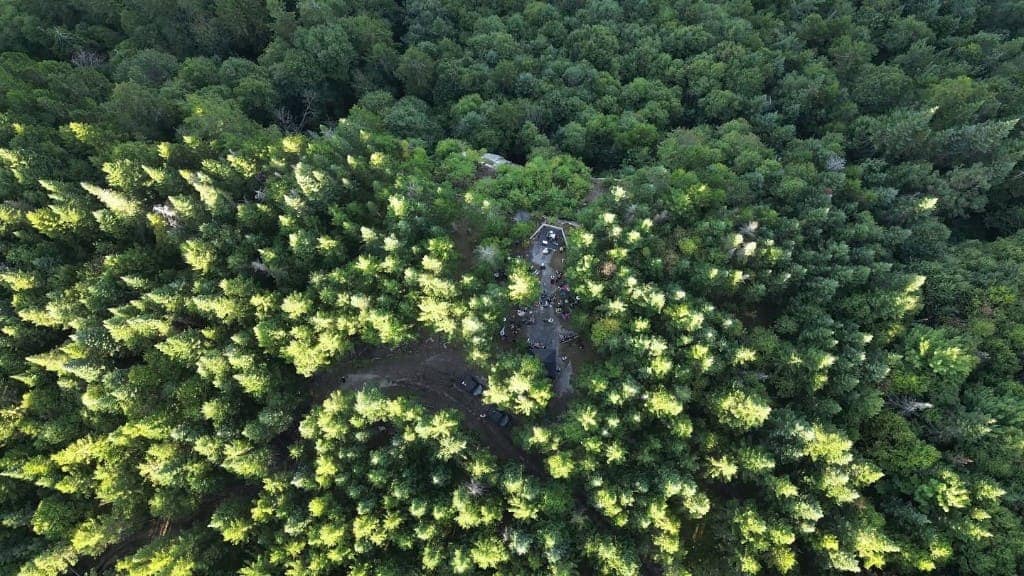 Vue aérienne d'une clairière en forêt accueillant un rassemblement