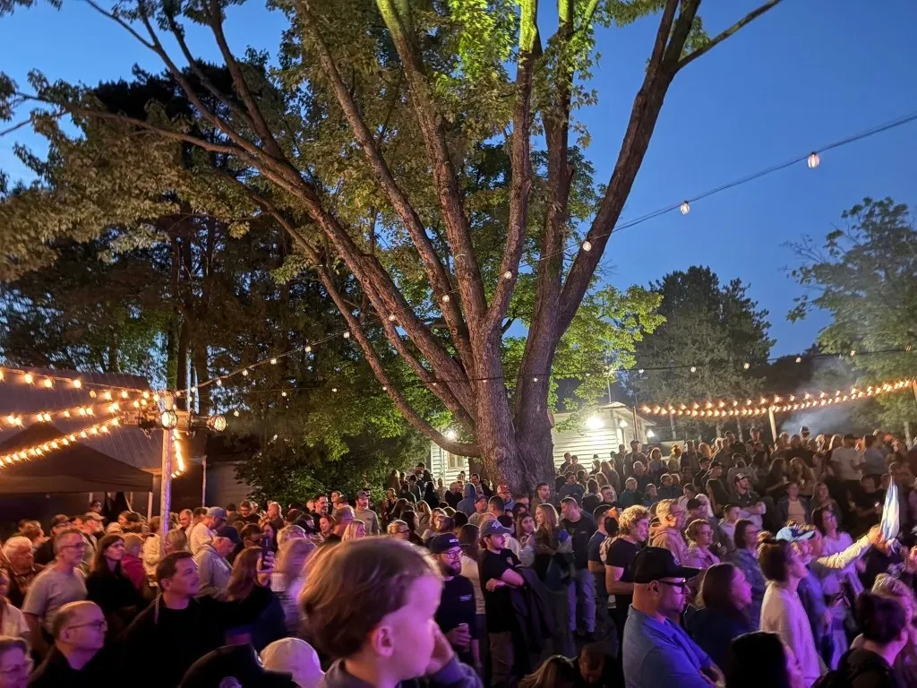 Place du village : public sous le grand arbre et les guirlandes